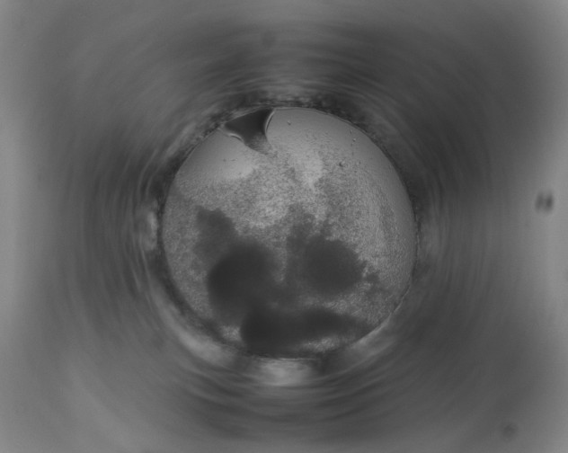 X0000113620183200910021837