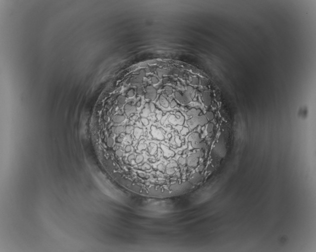 X0000113620185200910021837