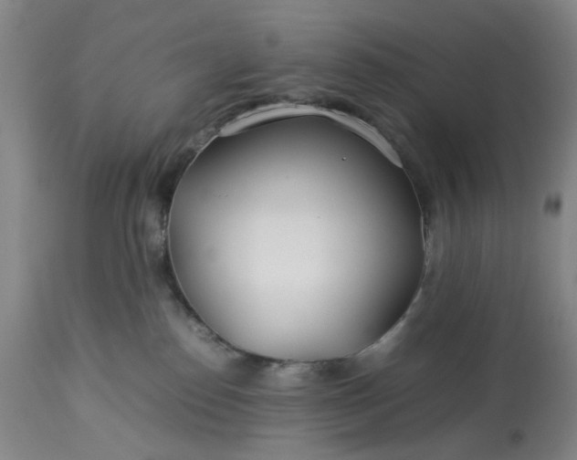 X0000113620186200910021837