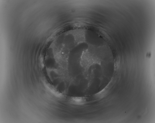 X0000113620187200910021837