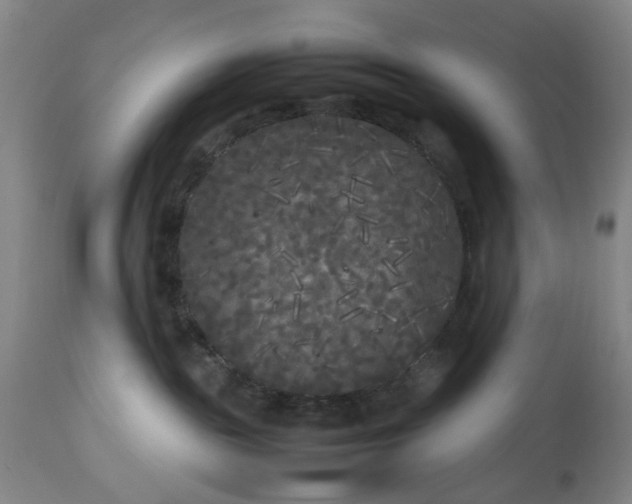 X0000113620189200910021837