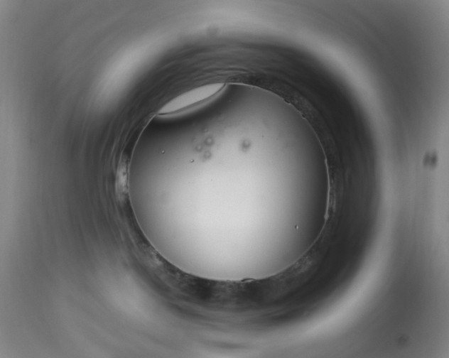 X0000113620190200910021837