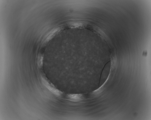 X0000113620191200910021837