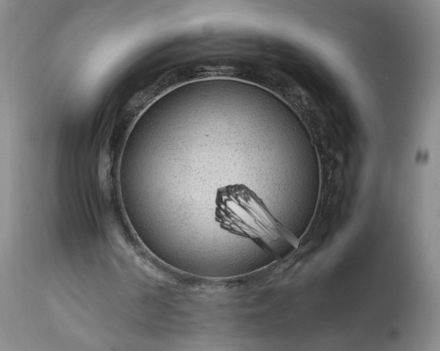 X0000113620194200910021837