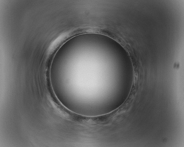 X0000113620197200910021837