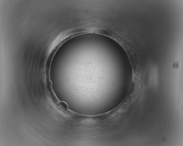 X0000113620198200910021837