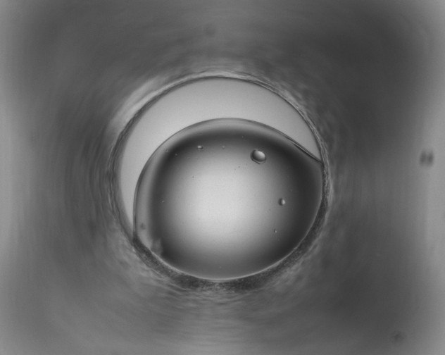 X0000113620199200910021836