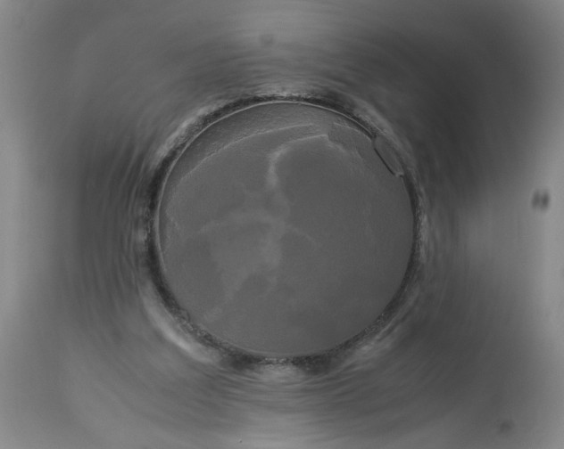 X0000113620203200910021836