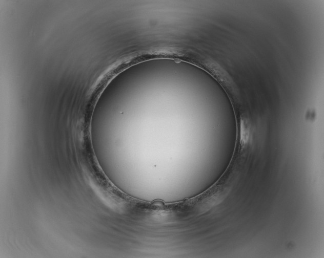 X0000113620204200910021836