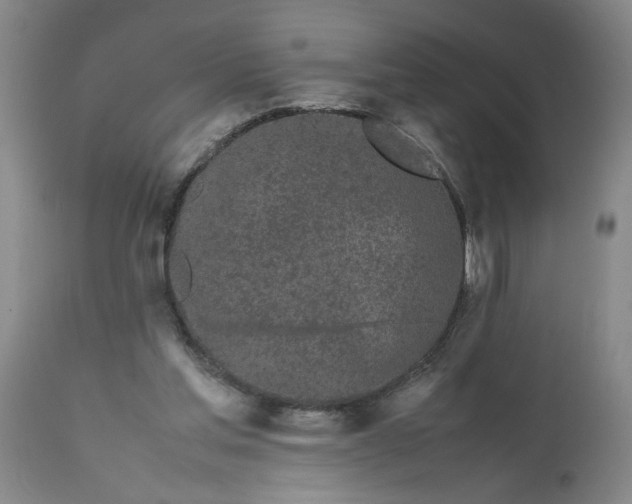 X0000113620205200910021836