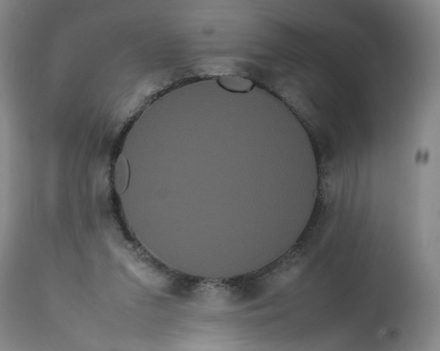 X0000113620207200910021836