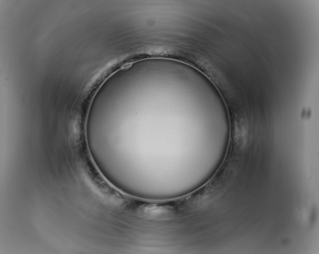 X0000113620208200910021836