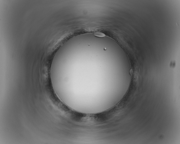 X0000113620211200910021836