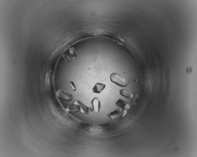 X0000113620214200910021836