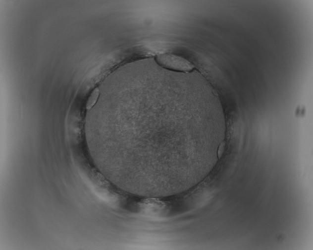 X0000113620215200910021836