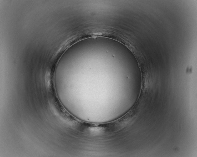 X0000113620216200910021836