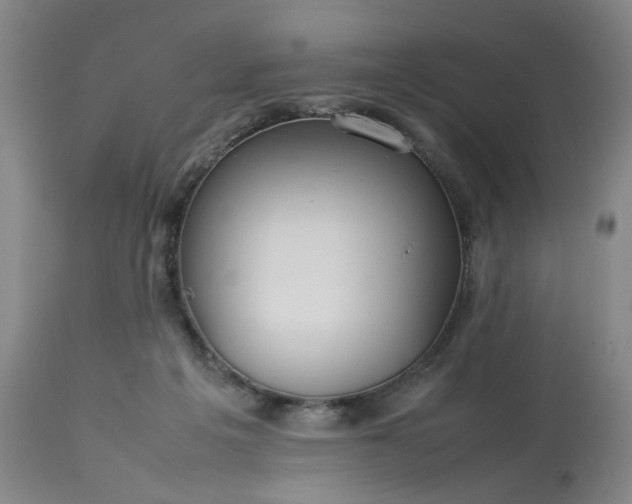 X0000113620217200910021836