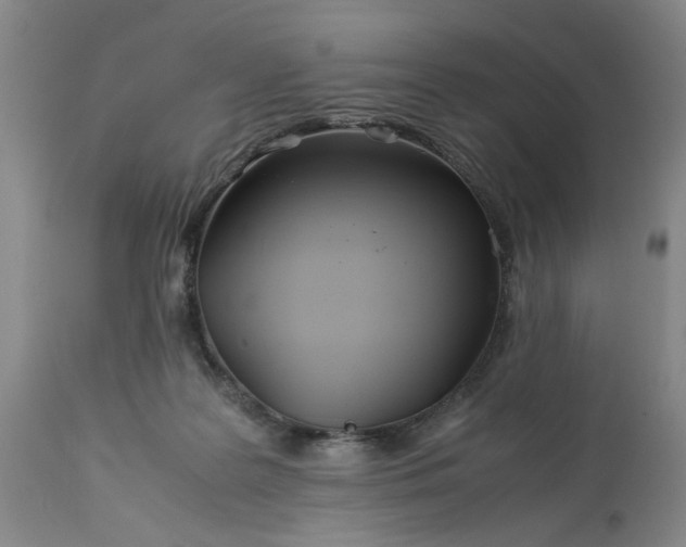 X0000113620219200910021836