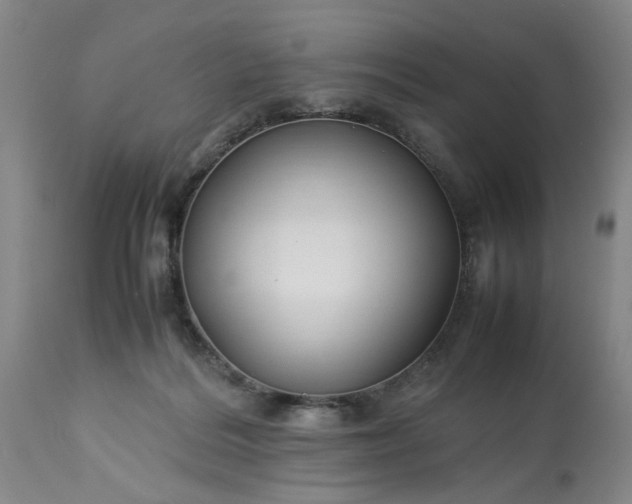 X0000113620220200910021836