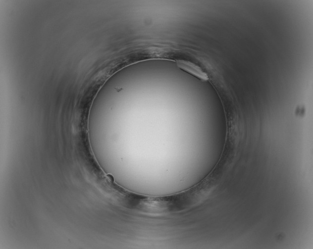 X0000113620221200910021836