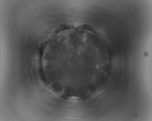 X0000113620222200910021836