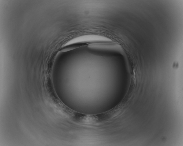 X0000113620223200910021836