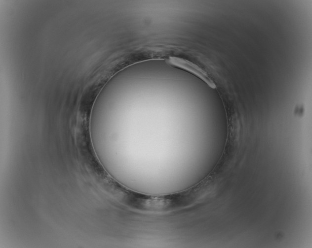 X0000113620225200910021836