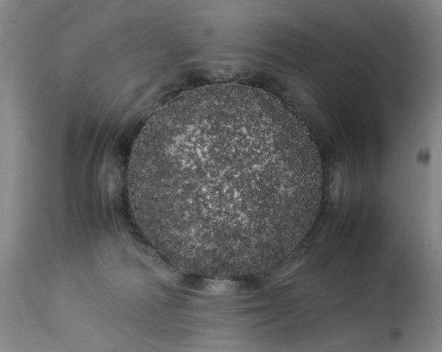 X0000113620226200910021836