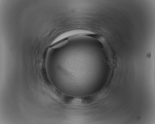 X0000113620227200910021836