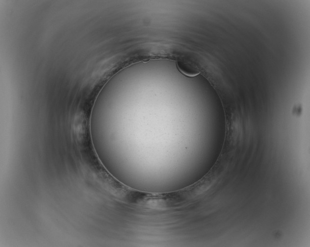 X0000113620228200910021836