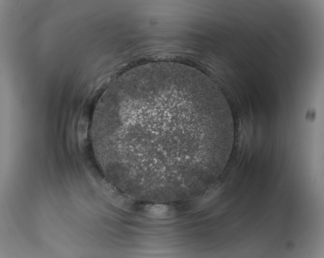 X0000113620230200910021836