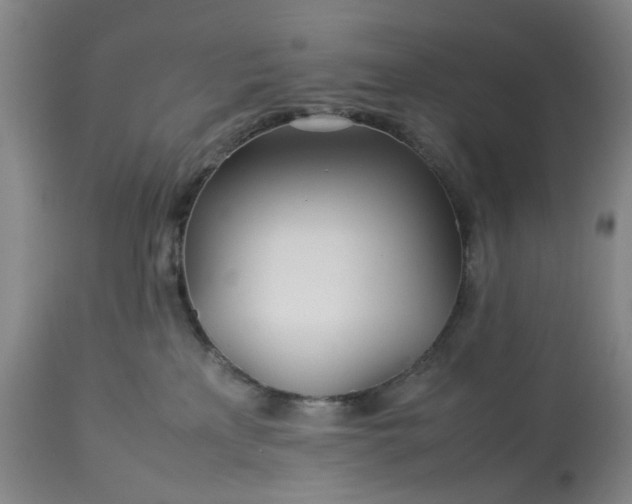 X0000113620233200910021836