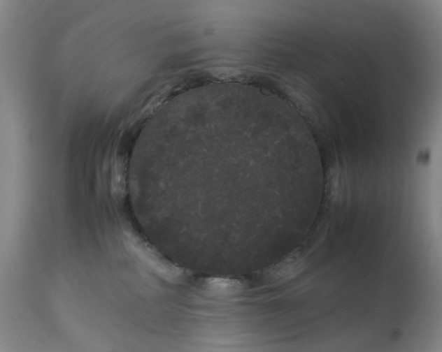 X0000113620234200910021836