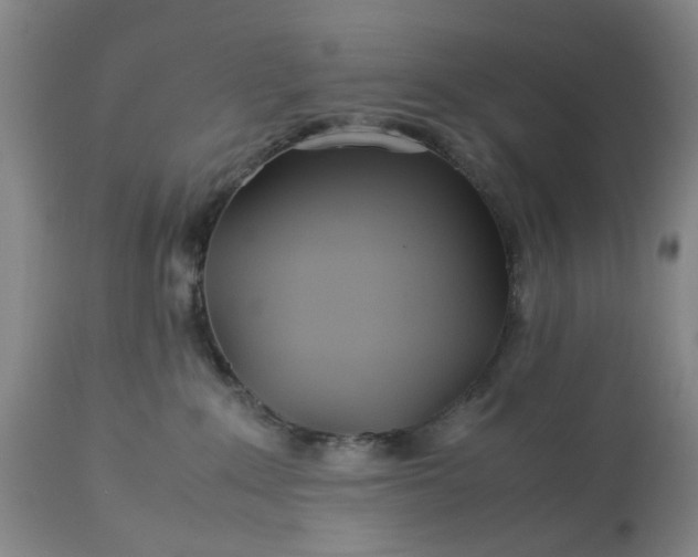 X0000113620235200910021836