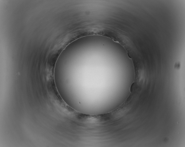 X0000113620236200910021836