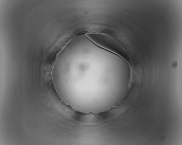 X0000113620237200910021836