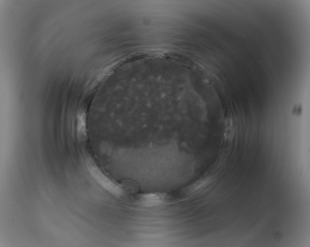 X0000113620238200910021836