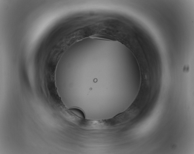 X0000113620239200910021836