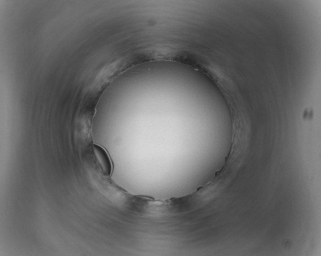 X0000113620240200910021836