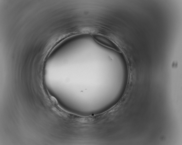 X0000113620241200910021835