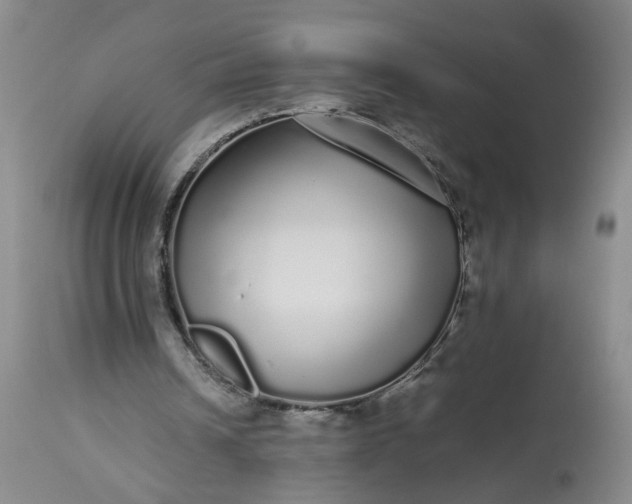 X0000113620242200910021835