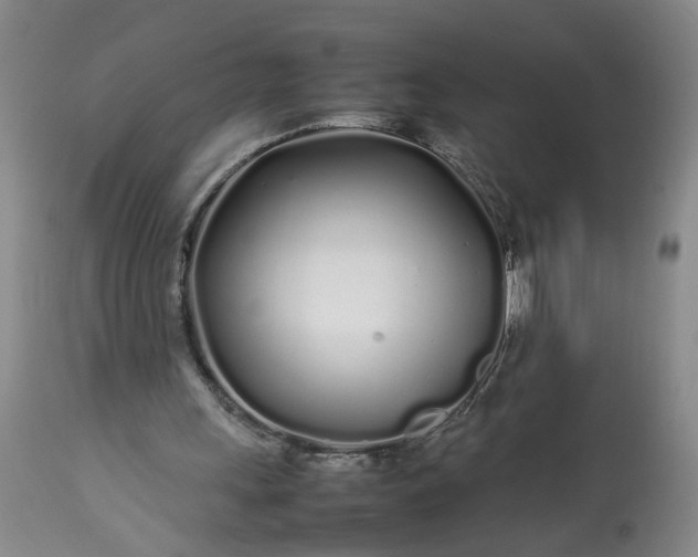 X0000113620243200910021835