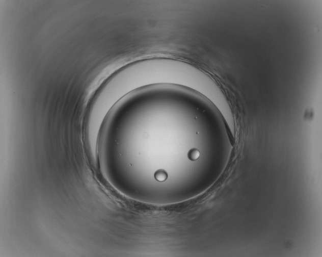 X0000113620244200910021835