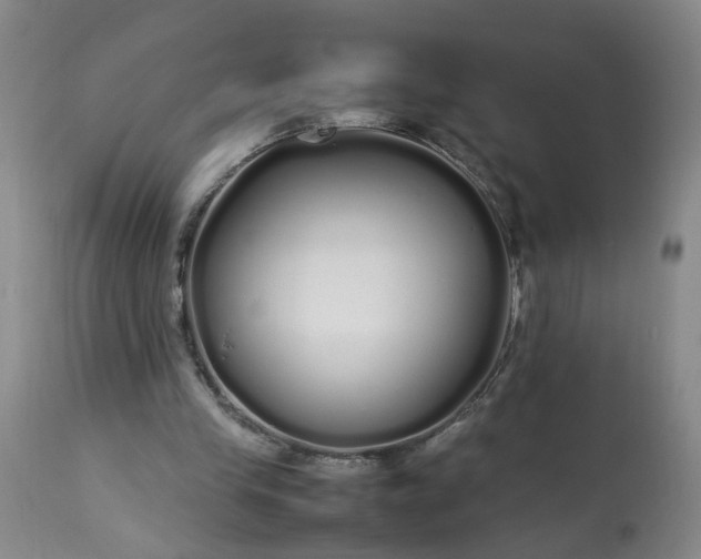 X0000113620245200910021835