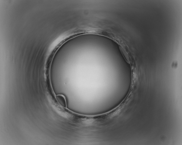 X0000113620246200910021835