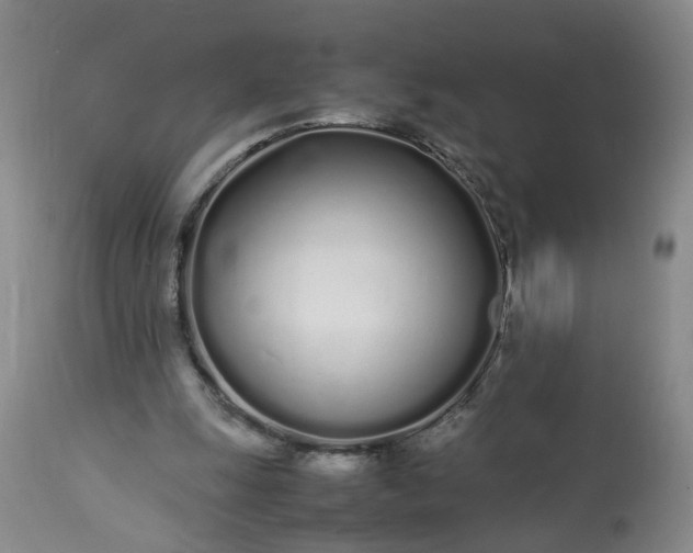 X0000113620247200910021835