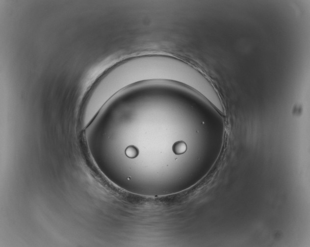 X0000113620248200910021835