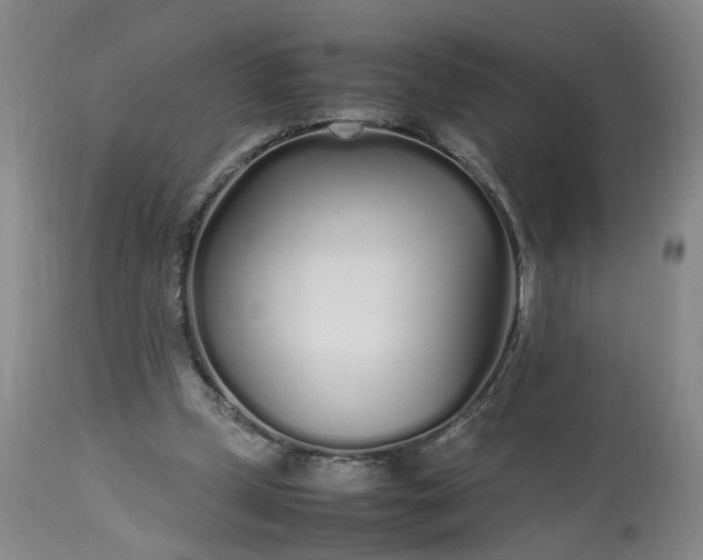 X0000113620249200910021835