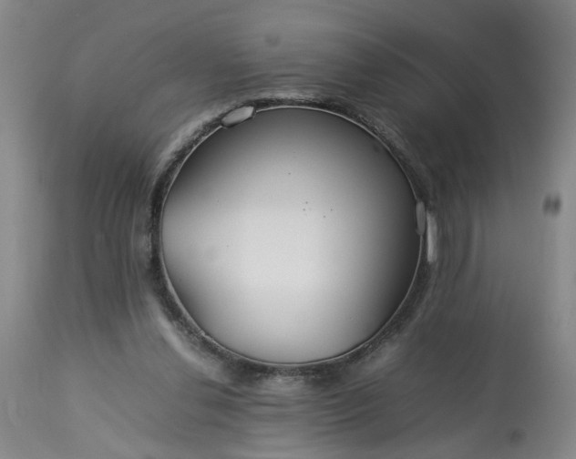 X0000113620252200910021835