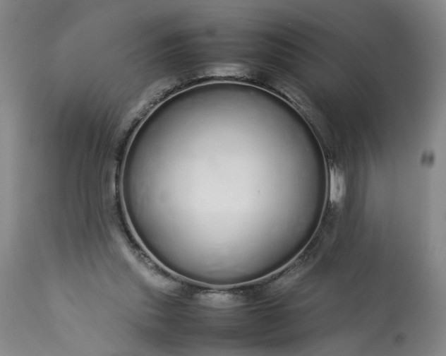 X0000113620253200910021835